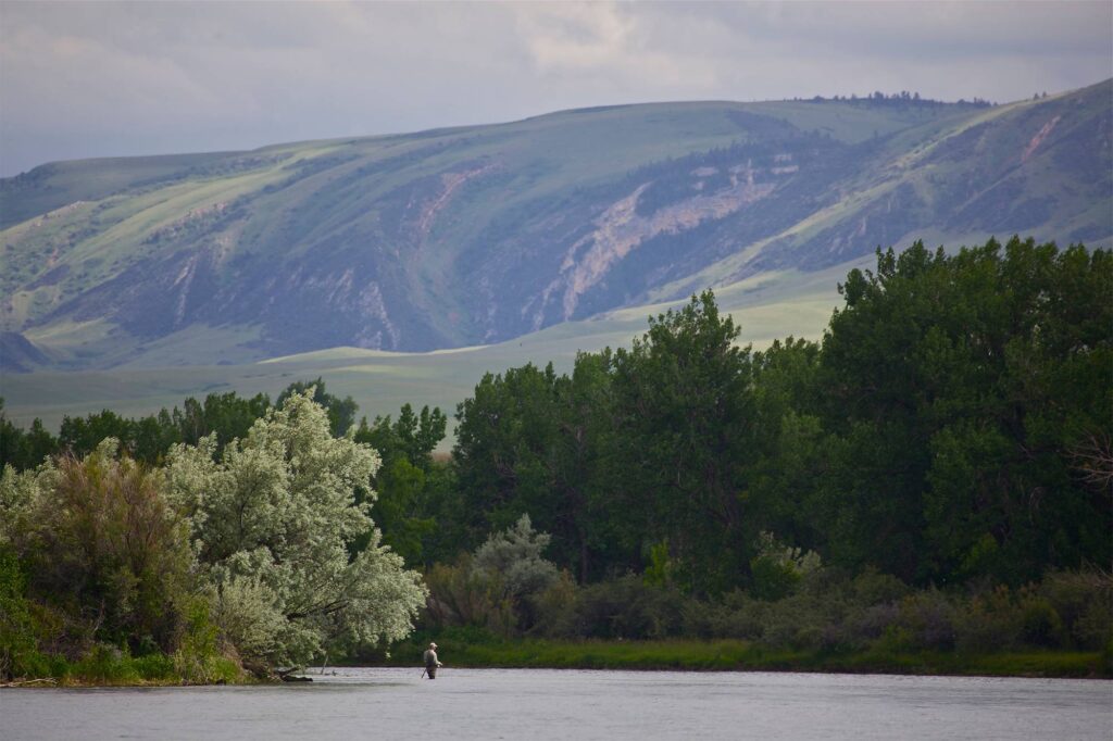 Angler on the Bighorn River