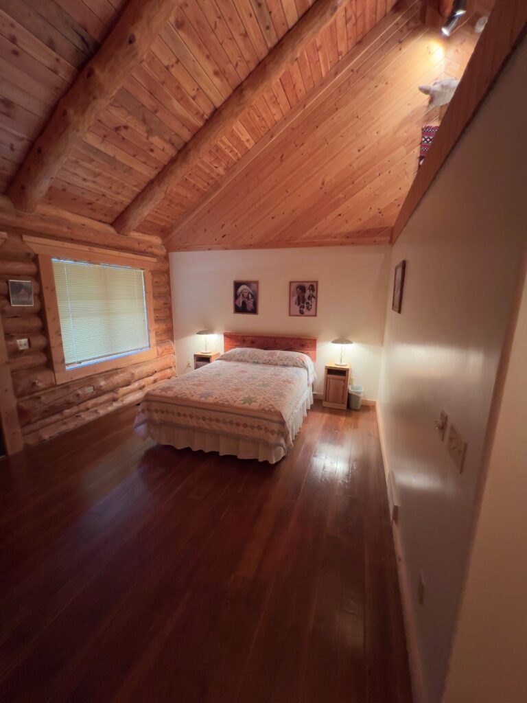 Single queen guest room with log walls and lodge furnishings