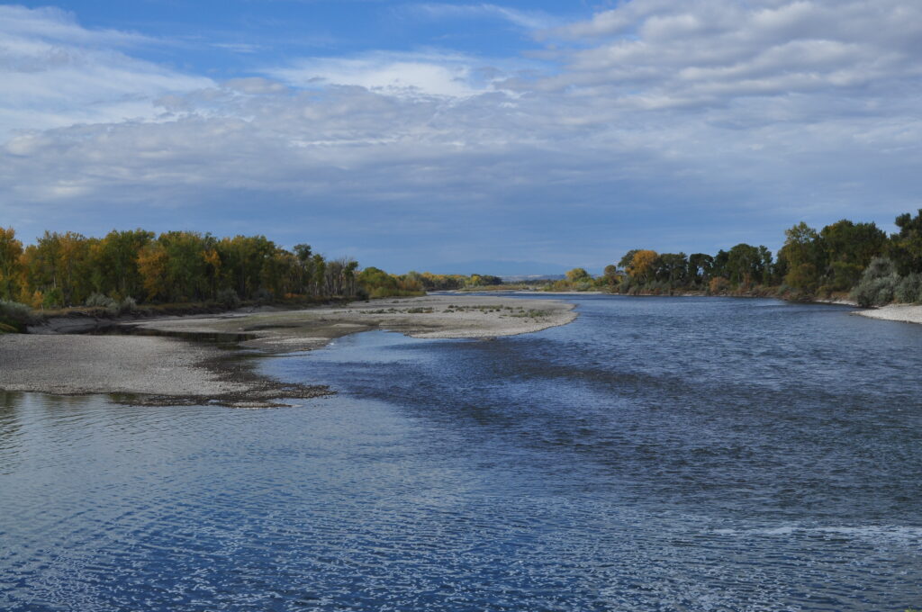 Wide stretch of the Yellowstone River with gravel bars and fall cottonwoods