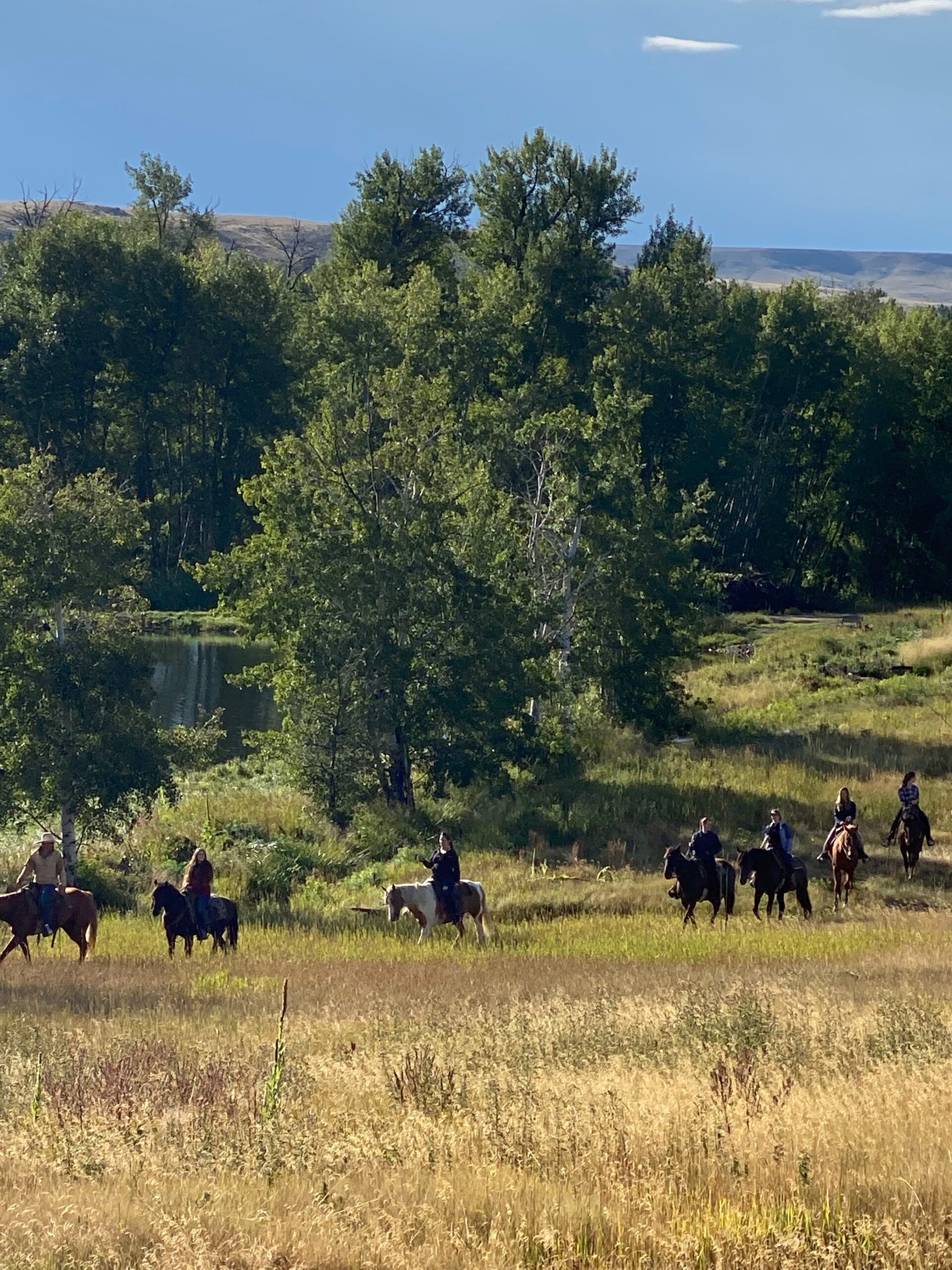 Horseback trail riding at the ranch