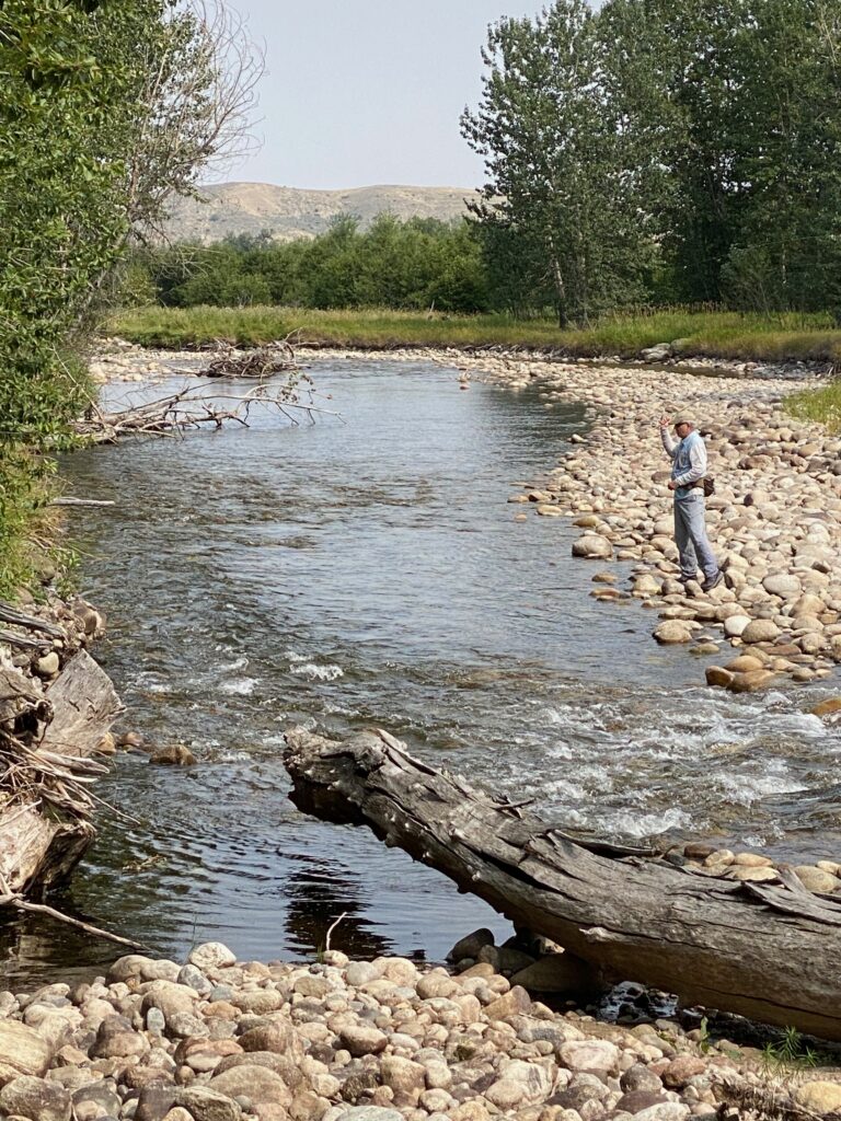 Walk-and-wade angler on a Montana spring creek