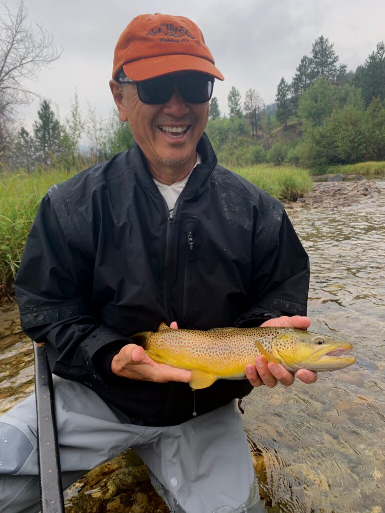Another gold bar brown trout