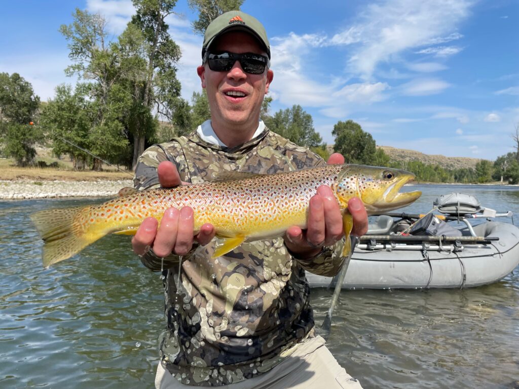 Brown trout on the fly