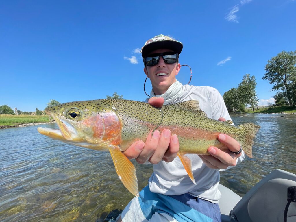 Rainbow trout (bow) on the water
