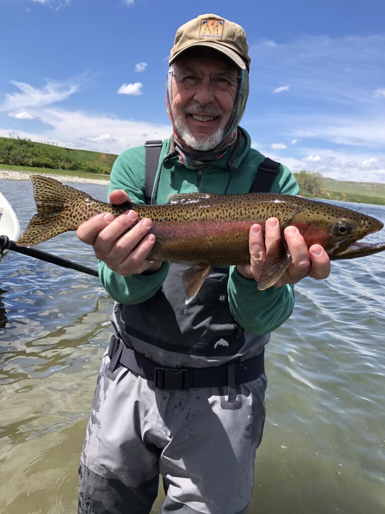 Meaty rainbow trout to hand