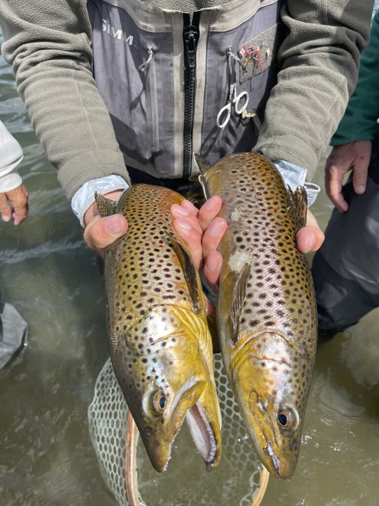 Big fish smile