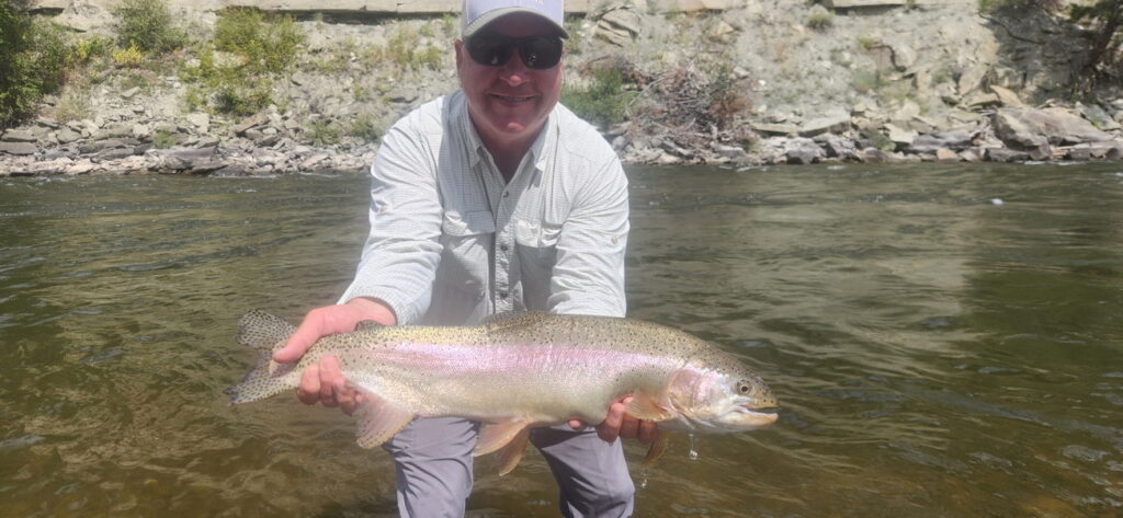 Stillwater rainbow trout