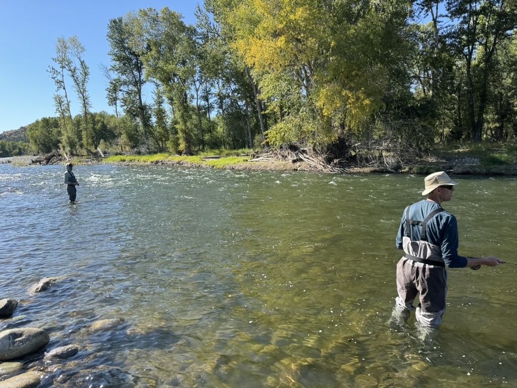 Angler wade fishing on a scenic Montana stream