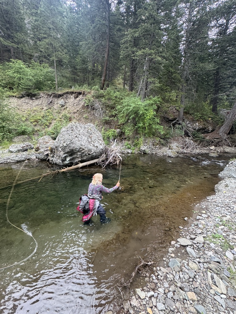 Angler fishing a secluded forest stream