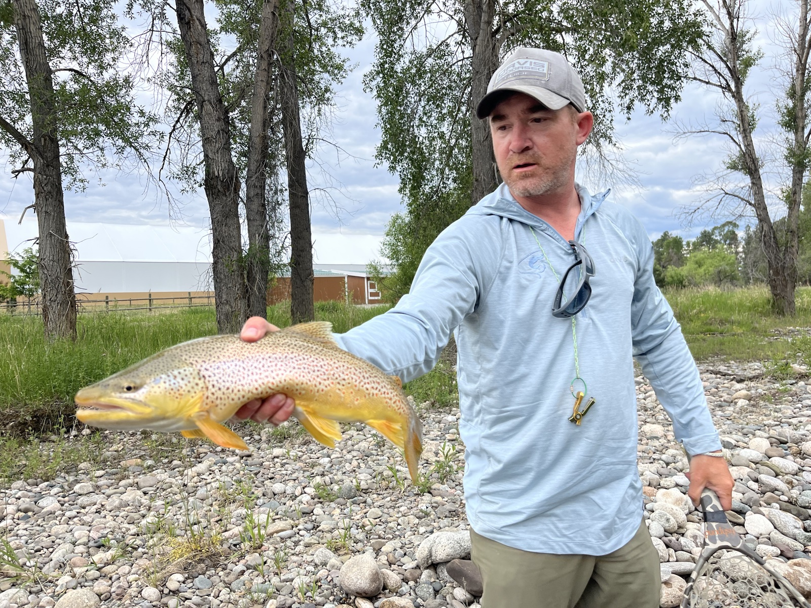 Guide Neal Mitchell releasing a brown trout
